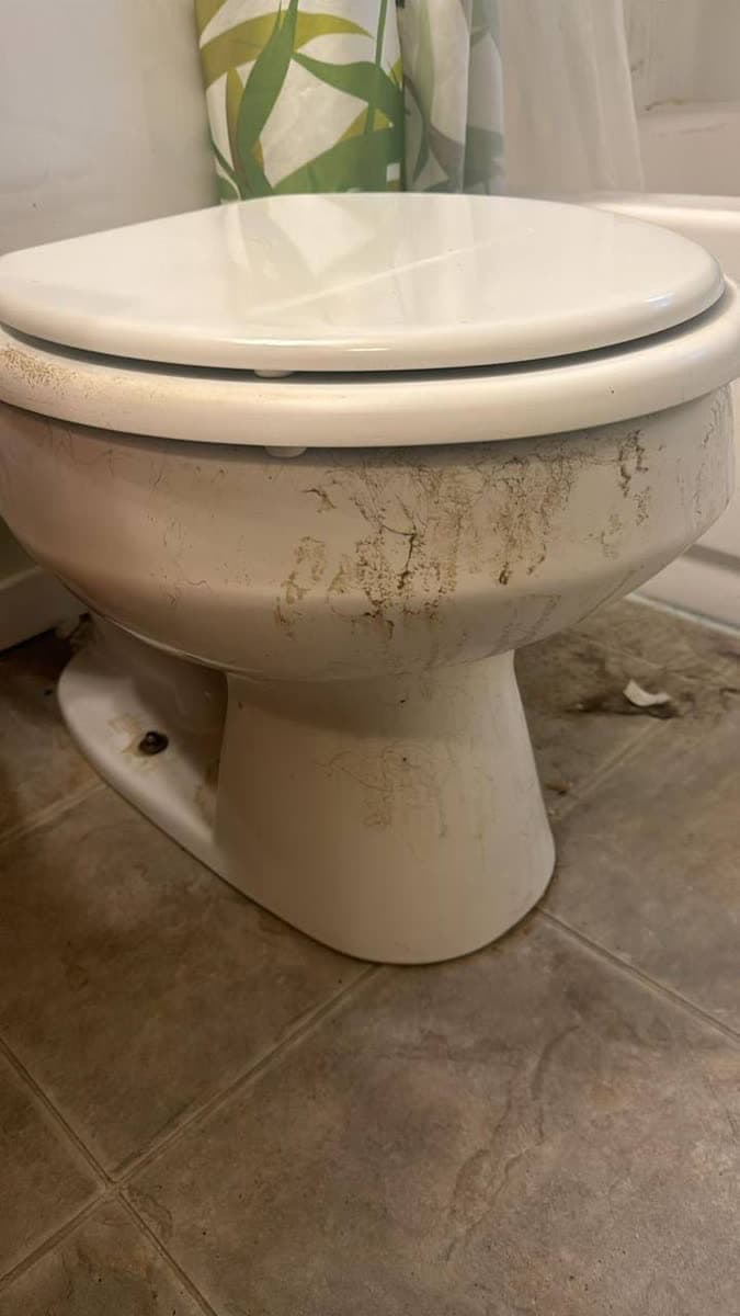 Toilet deep clean & sanitize — Before