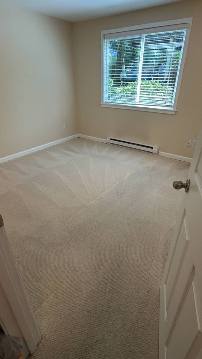 Freshly cleaned carpet in a Puget Sound home
