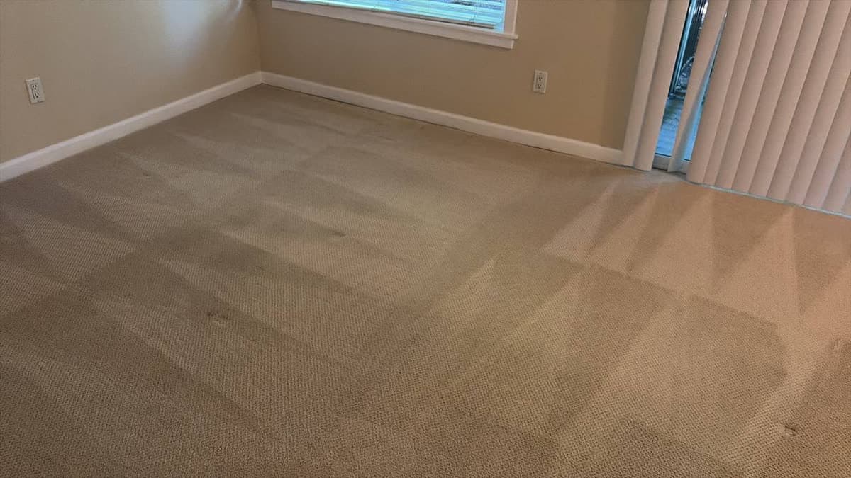 Vacuumed bedroom carpet, move-out clean